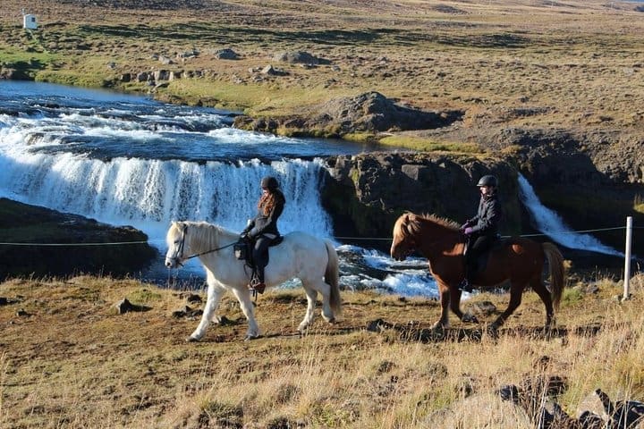 Privado 3 – Tour a caballo de una hora