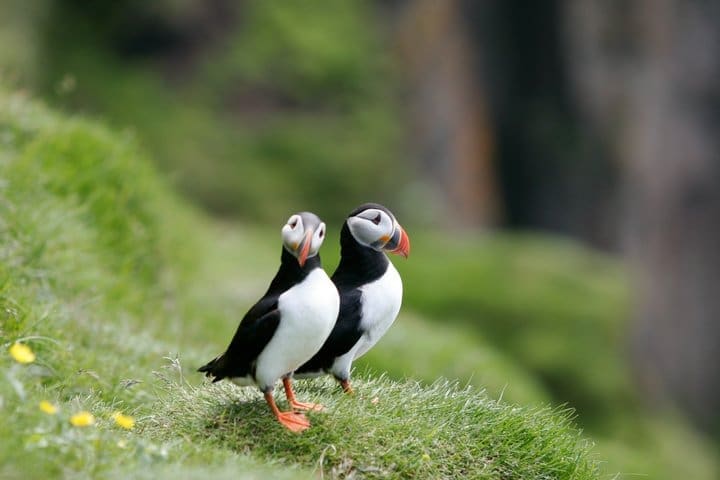 Islandia en verano: los tours que no podéis perderos