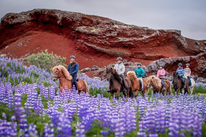 Tour a caballo islandés desde Reikiavik
